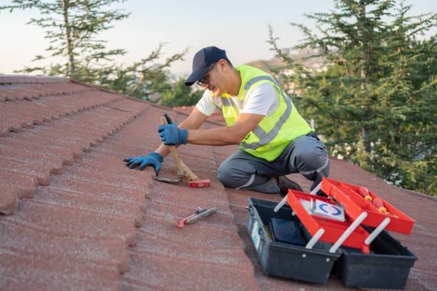 Best Roof Waterproofing Services  in Wolf Lake, MI