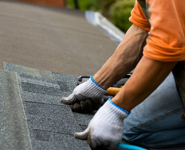 Best Roofing Contractor Near Me  in Wolf Lake, MI