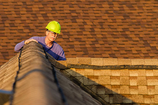 Best Local Roofing Companies  in Wolf Lake, MI