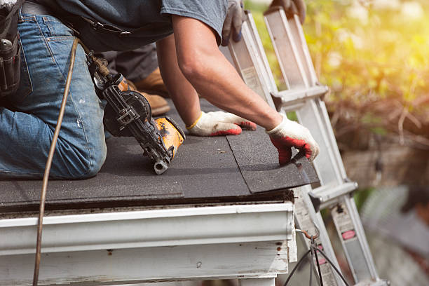 Roof Waterproofing Services in Wolf Lake, MI
