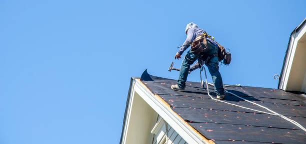 Best Roof Restoration Services  in Wolf Lake, MI